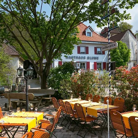 Zur Blume Hotel&Restaurant Efringen-Kirchen bei Basel-2